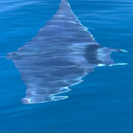 Bella Vista * Capo Vaticano