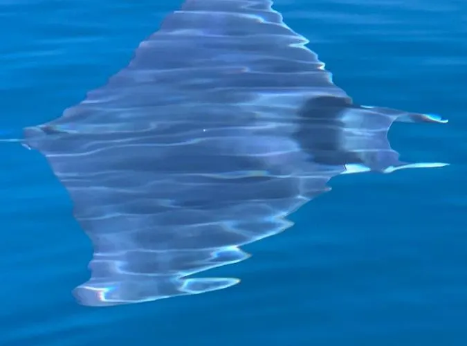 Bella Vista * קאפו ואטיצ'אנו